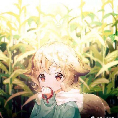 美为何害怕中国大蒜